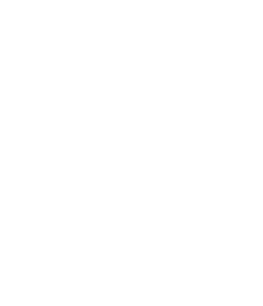invoice-dollar